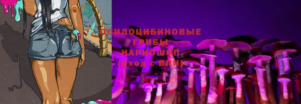 шишки Алексин