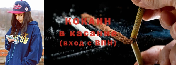 шишки Алексин