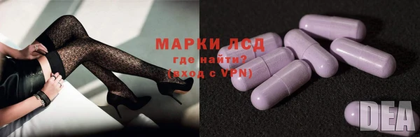 шишки Алексин