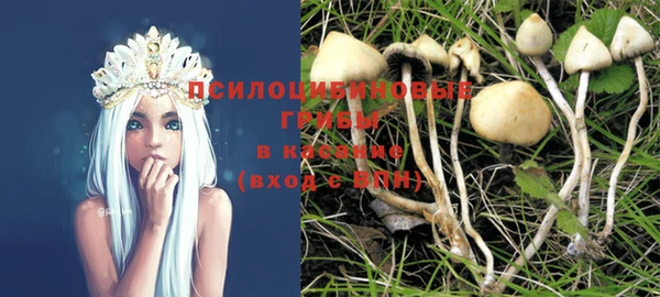 шишки Алексин