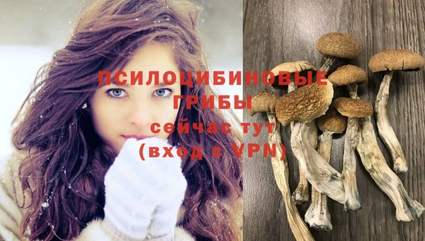 шишки Алексин