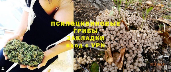 шишки Алексин
